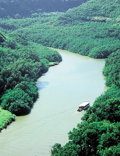 Wailua River & Fern Grotto